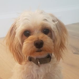 Meet your Posher, Lisa